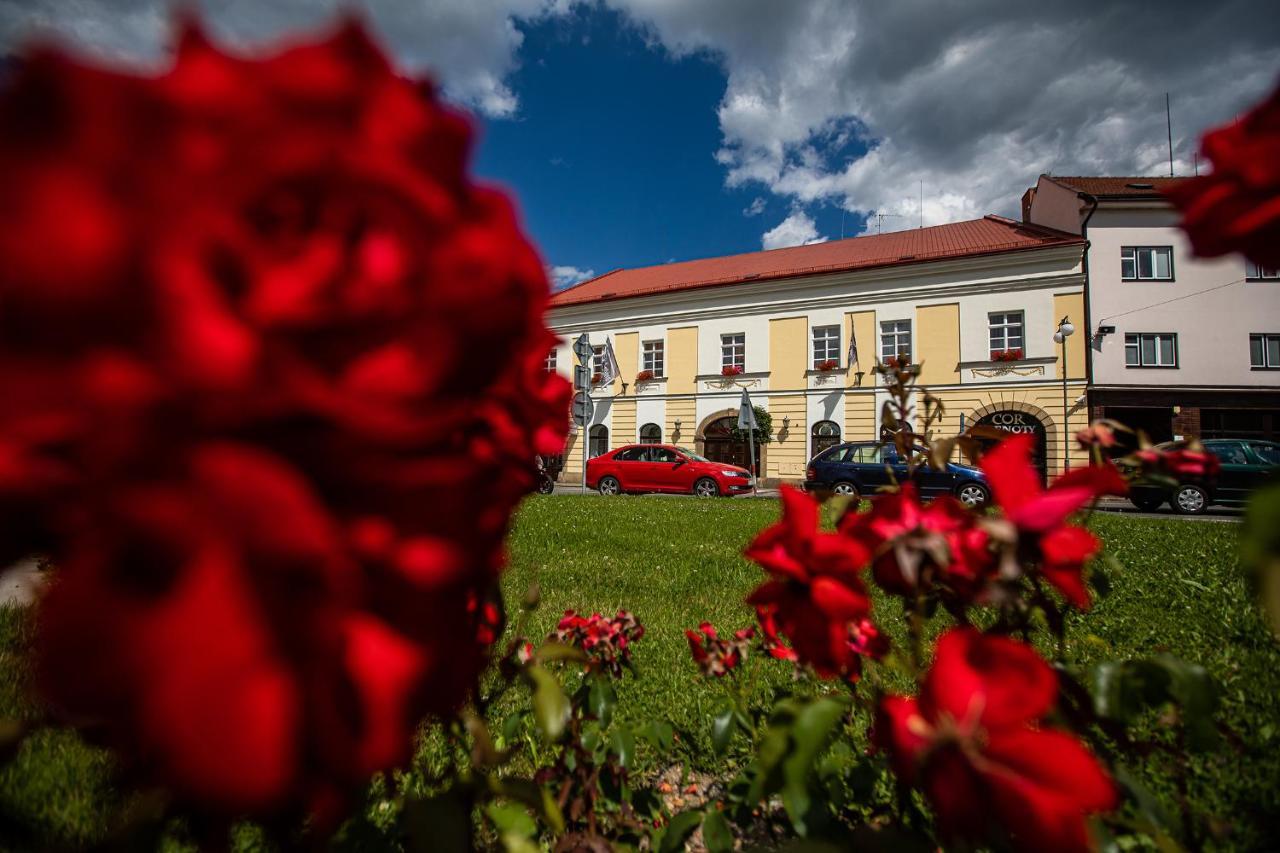 Penzion Satlava Nové Město nad Metují Εξωτερικό φωτογραφία